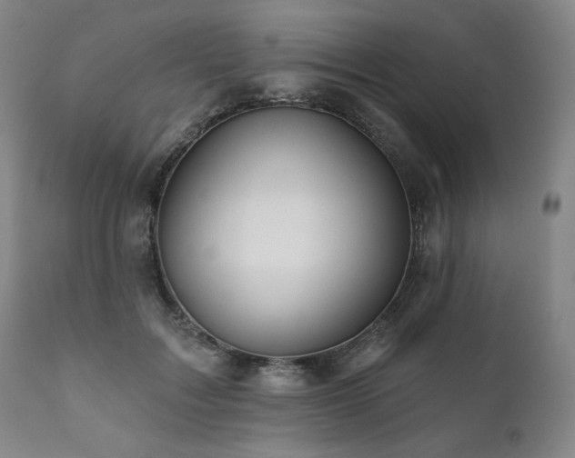 X0000111820603200907231320