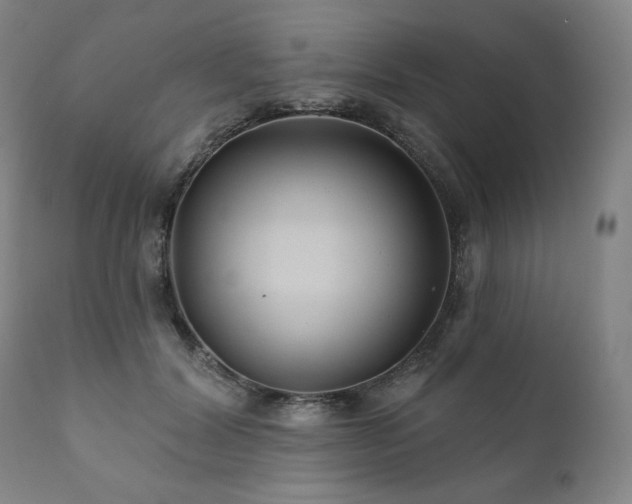 X0000111820604200907231320