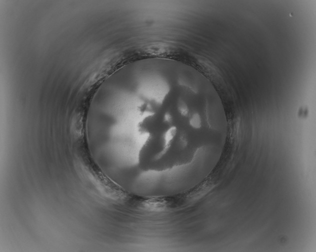 X0000111820606200907231320