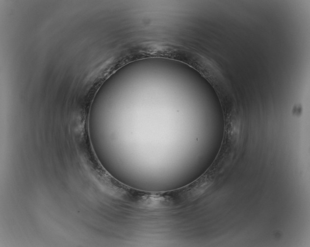 X0000111820607200907231320