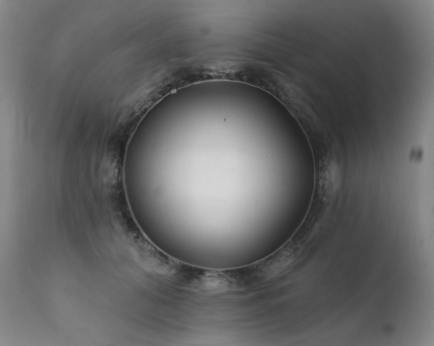 X0000111820608200907231320