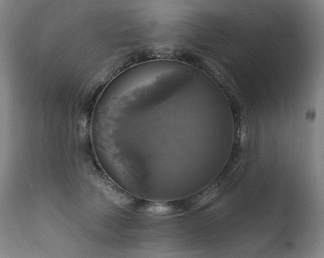 X0000111820610200907231320