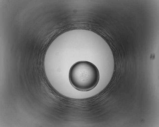 X0000111820611200907231320