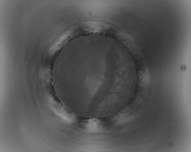 X0000111820612200907231320