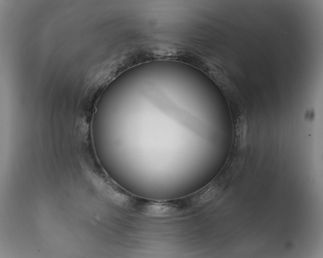 X0000111820614200907231320