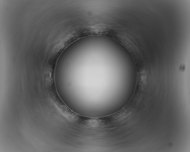 X0000111820615200907231320
