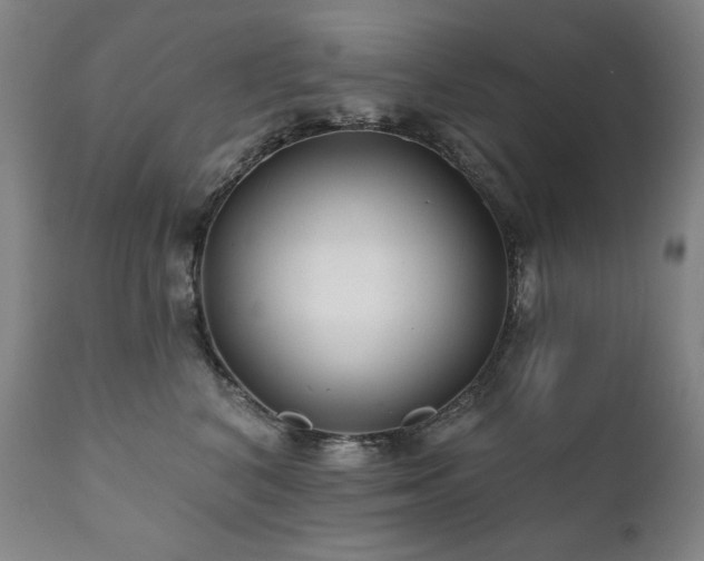 X0000111820616200907231320