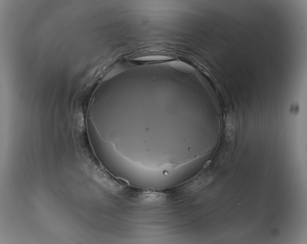 X0000111820617200907231320