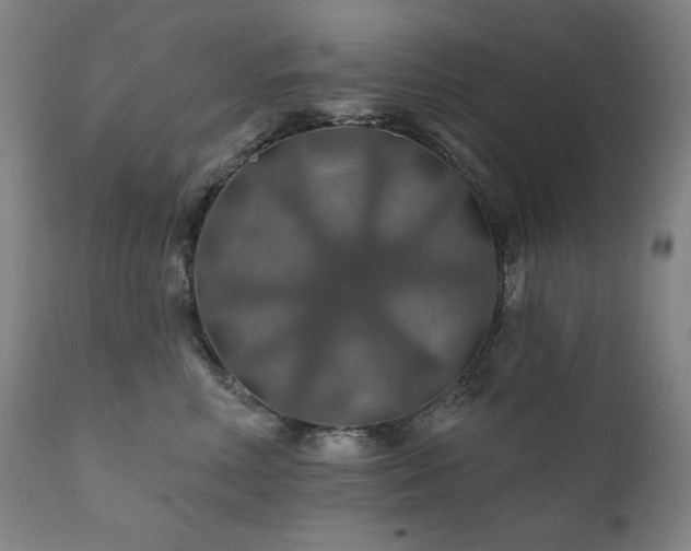 X0000111820618200907231320