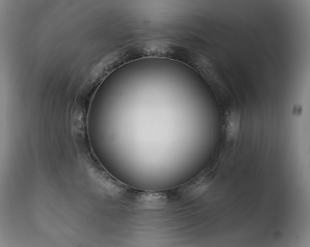 X0000111820619200907231320