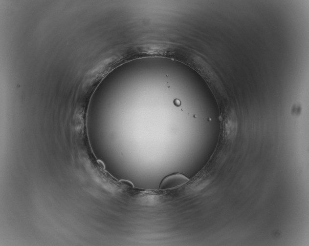 X0000111820620200907231320
