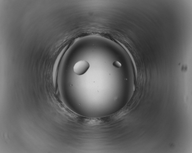 X0000111820621200907231320