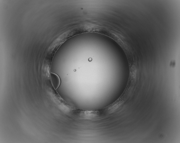 X0000111820622200907231320