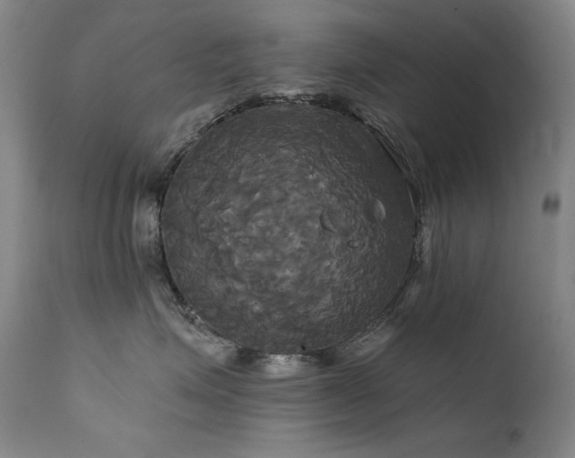 X0000111820623200907231320
