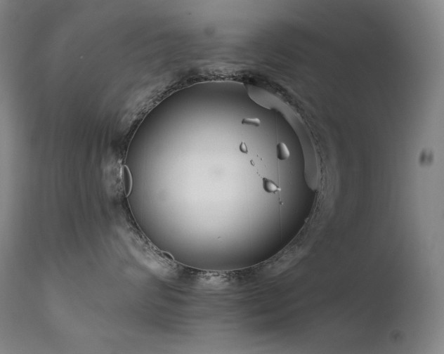 X0000111820624200907231320