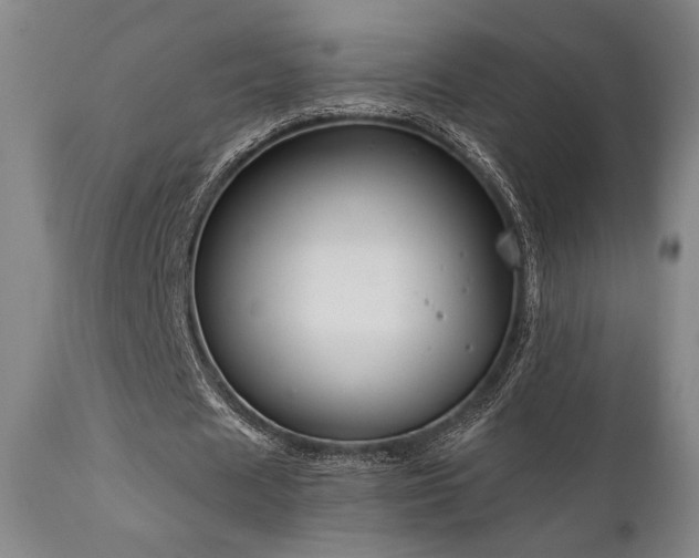 X0000111820625200907231319
