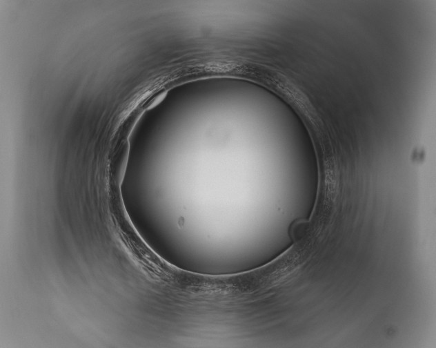 X0000111820626200907231319