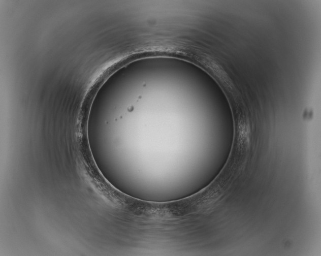 X0000111820628200907231319