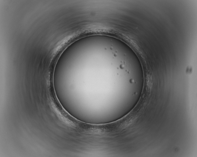 X0000111820629200907231319