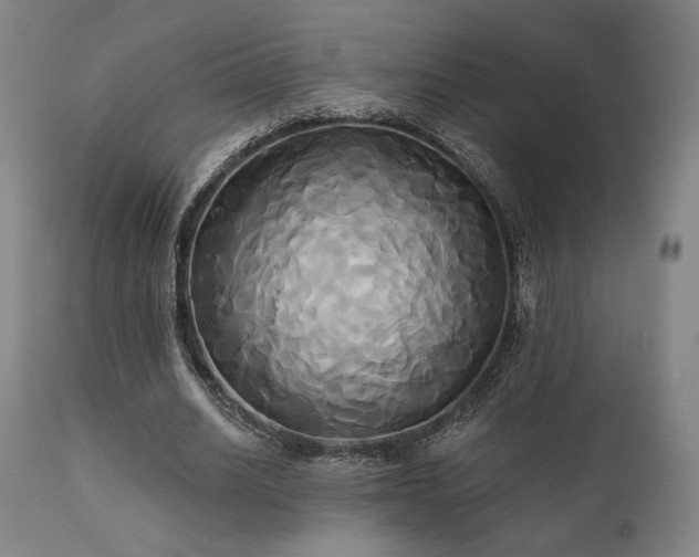 X0000111820630200907231319