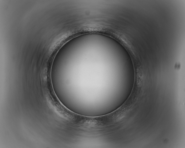 X0000111820631200907231319