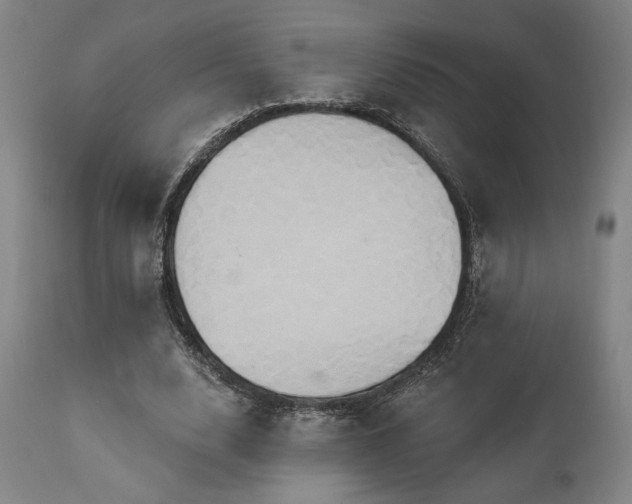 X0000111820632200907231319