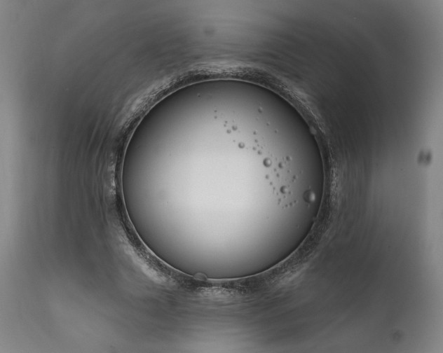 X0000111820633200907231319