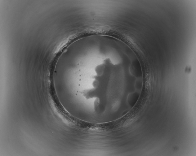 X0000111820634200907231319