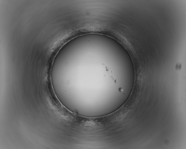 X0000111820635200907231319