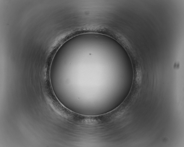 X0000111820636200907231319