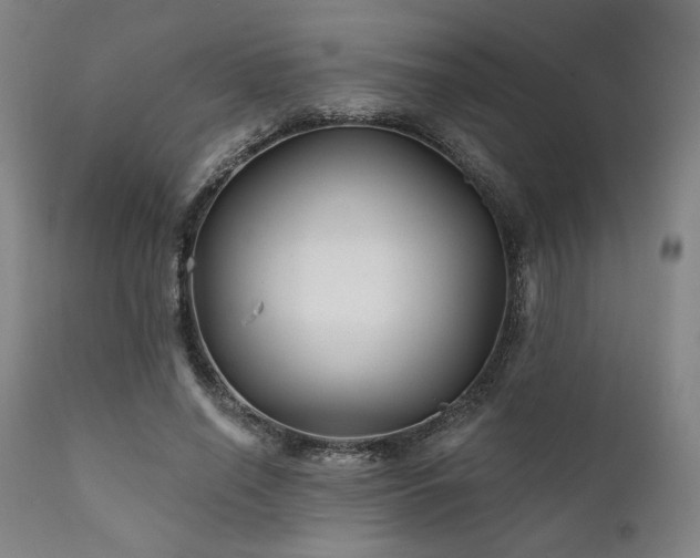 X0000111820638200907231319