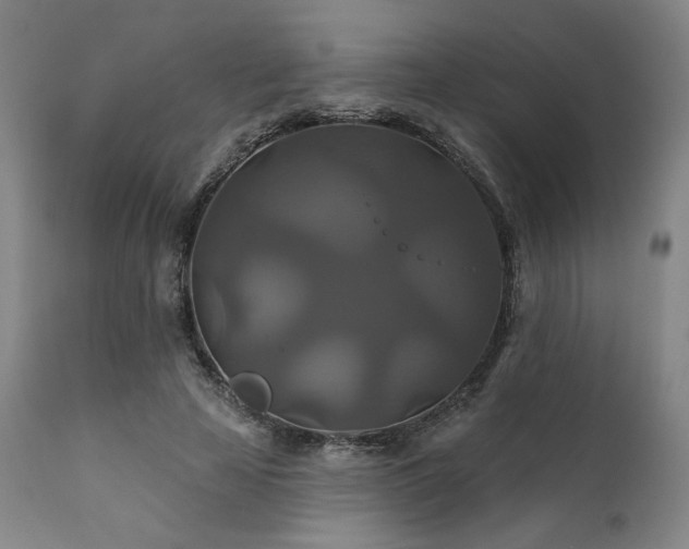 X0000111820641200907231319