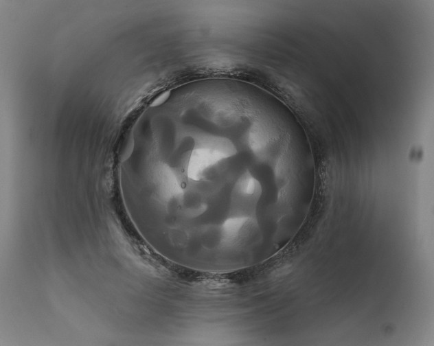 X0000111820642200907231319