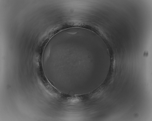 X0000111820643200907231319