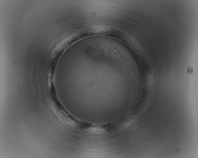 X0000111820644200907231319