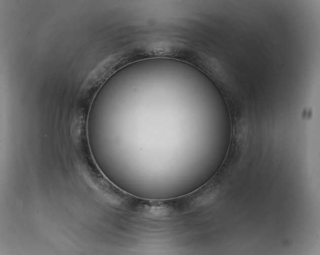 X0000111820645200907231319