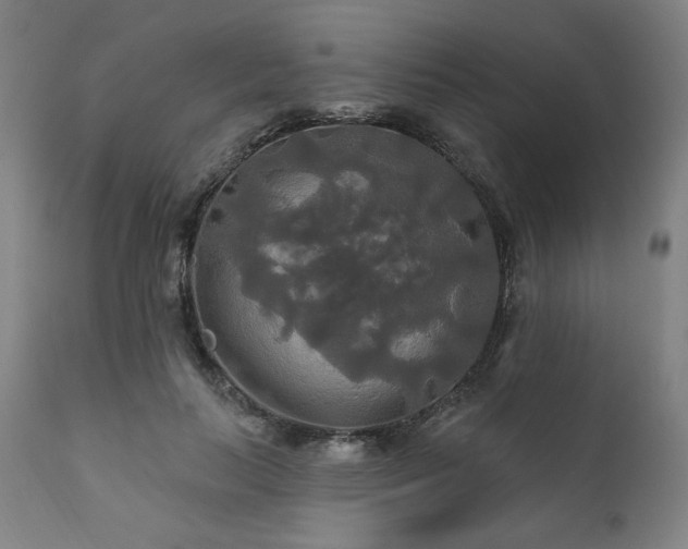 X0000111820647200907231319