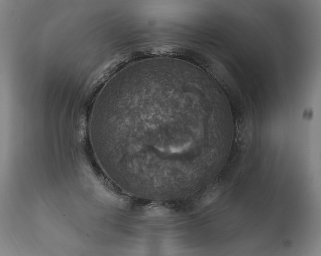 X0000111820648200907231319