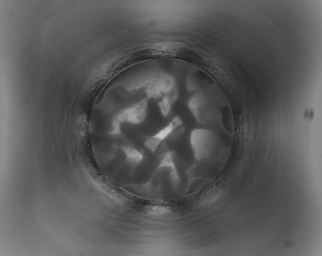 X0000111820649200907231319