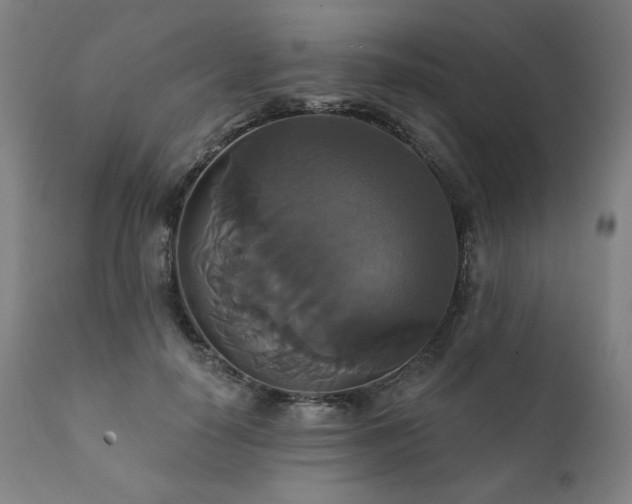 X0000111820650200907231319