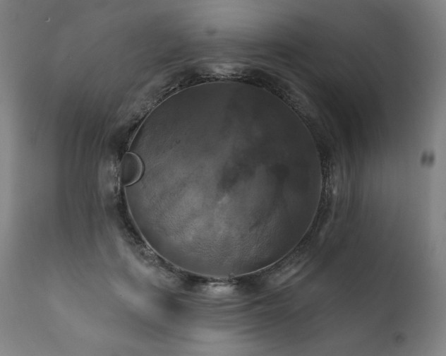 X0000111820651200907231319