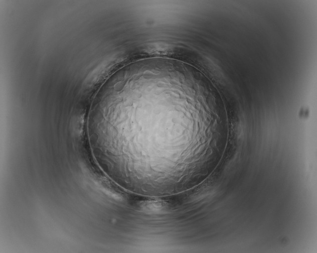 X0000111820652200907231319