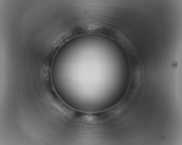 X0000111820654200907231319
