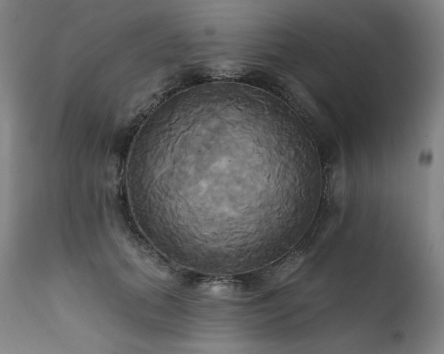 X0000111820655200907231319