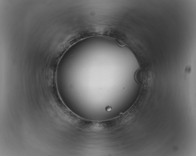 X0000111820656200907231319
