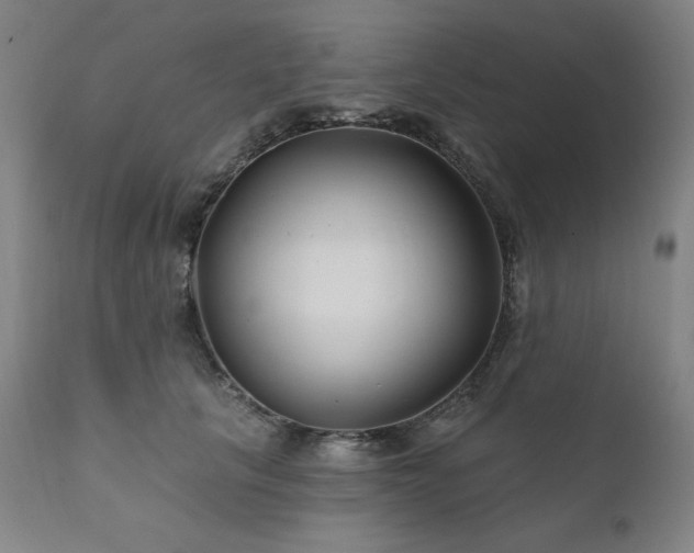 X0000111820657200907231319