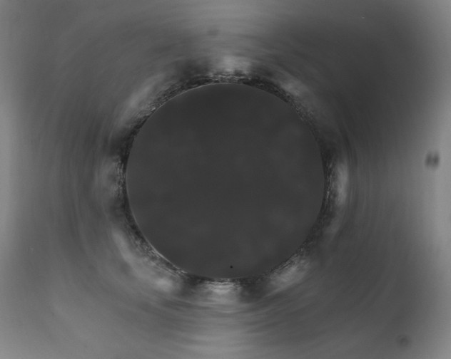 X0000111820659200907231319