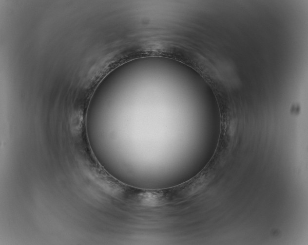 X0000111820660200907231319