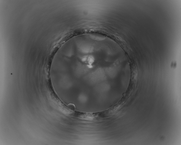 X0000111820661200907231319