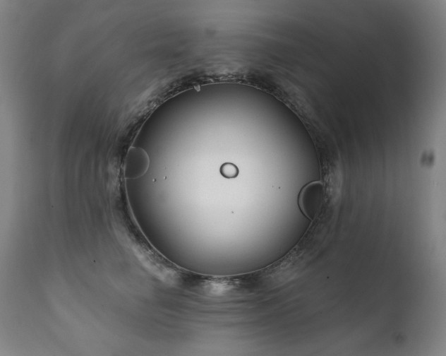 X0000111820662200907231319